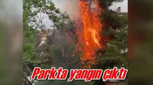Parkta yangın çıktı