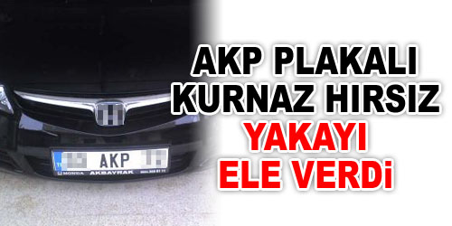 AKP Plaka da Kurtaramadı