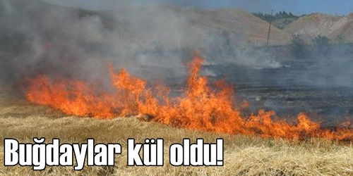 Kırıkkale`de tarla yangını