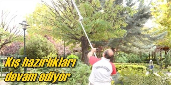 Belediyeden sonbahar çalışması