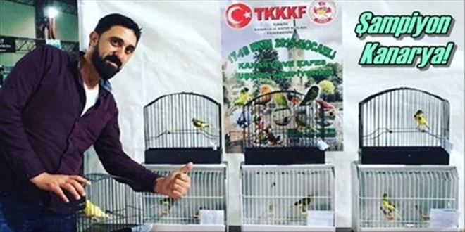 Kanarya şampiyonuna madalya