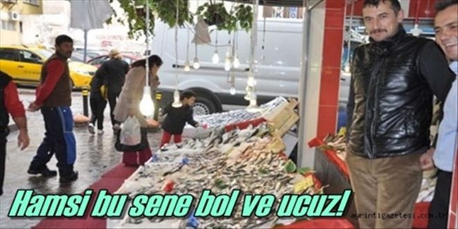 Balıkçılarda hamsi bolluğu