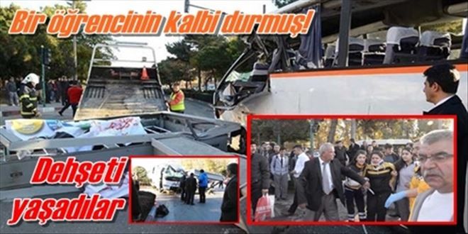 Dehşeti yaşadılar!
