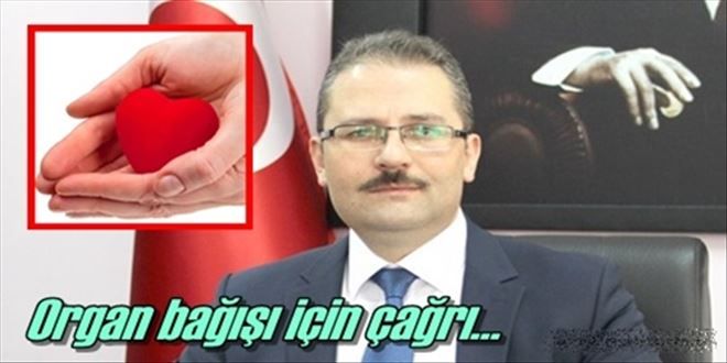 Yaşamak güzel, yaşatmak da