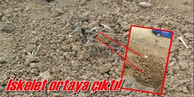 İnsan kemiği bulundu!