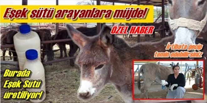 Eşek sütü arayanlara müjde!