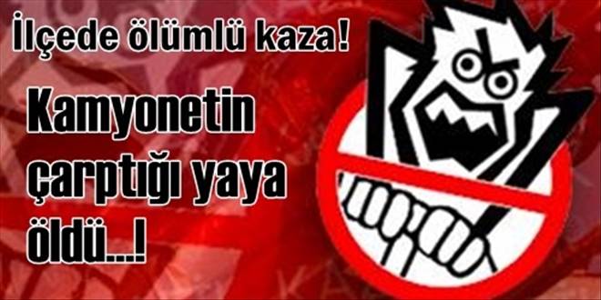 Kamyonetin çarptığı yaya öldü