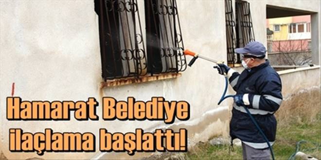 Belediye ilaçlama yapıyor