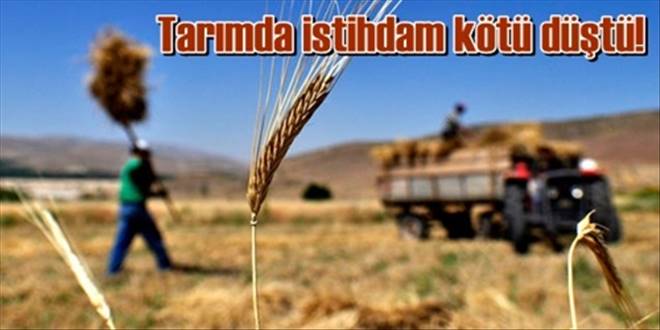 Tarımda istihdam oranı düştü