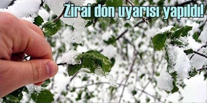 Zirai don uyarısı yapıldı