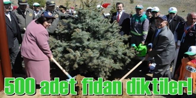 500 adet fidan diktiler