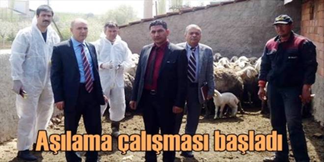 Aşı kampanyası Keskin
