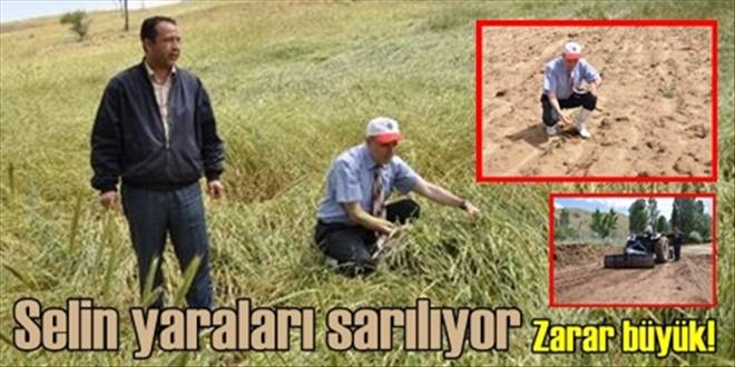 Ekili alanlara zarar verdi