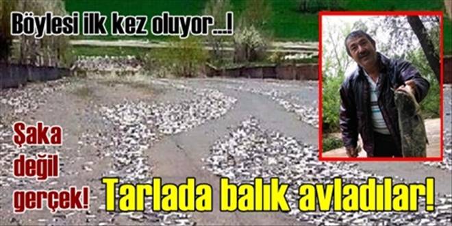 Baraj taştı, vatandaşlar 