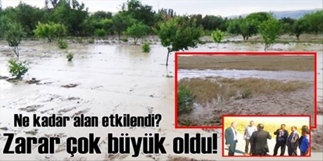 4 Bin çiftçinin zararı 121 bin dekar