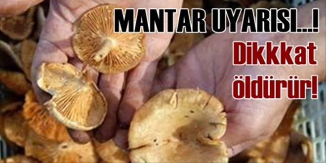 Mantar uyarısı!