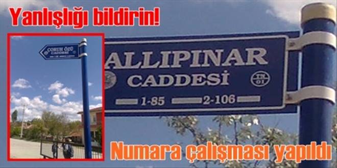 Numarataj işlemleri tamamlandı 