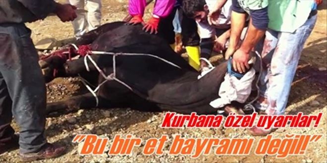?Kurbana et gözüyle bakmayın?