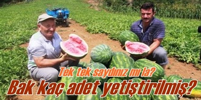 16 bin karpuz ürettik!