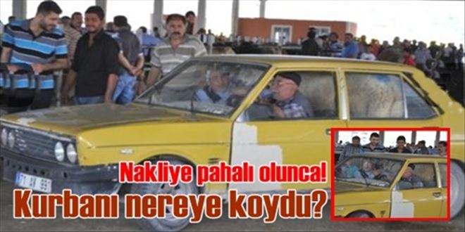 Kurbanlığı otomobille taşıdı!