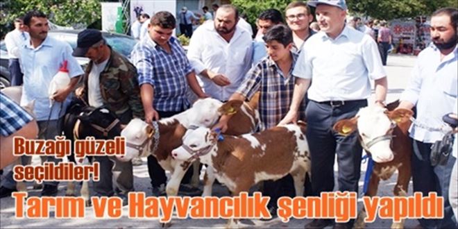 1.Tarım ve Hayvancılık Şenliği düzenlendi