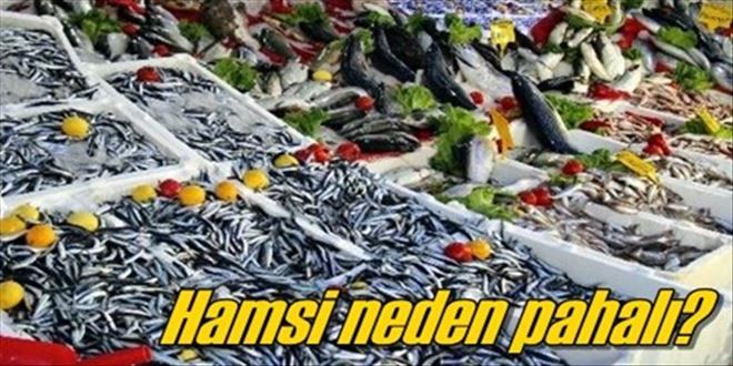 Hamsi´nin fiyatı düşmüyor