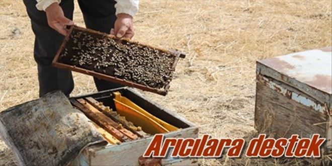 Arı yetiştiricilerine destek!