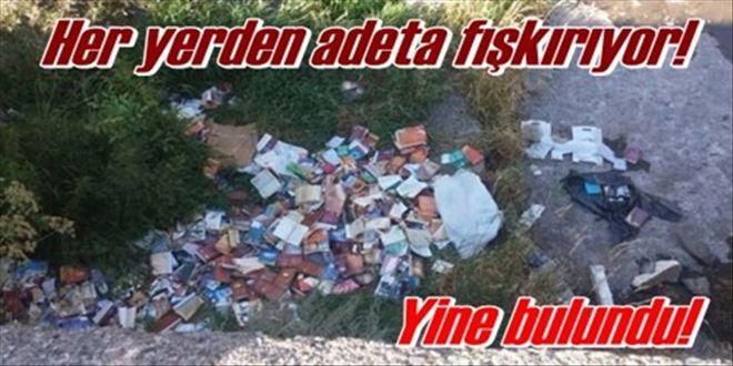FETÖ kitapları bulundu!
