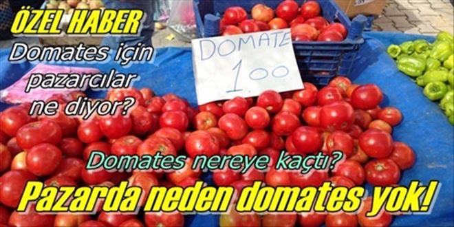 Pazarda domates yok!