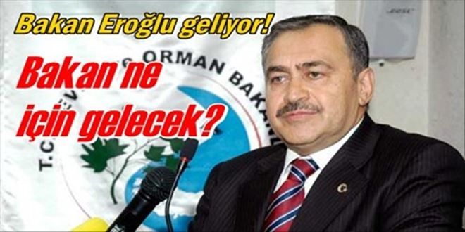 Akademide için ders zili çalıyor