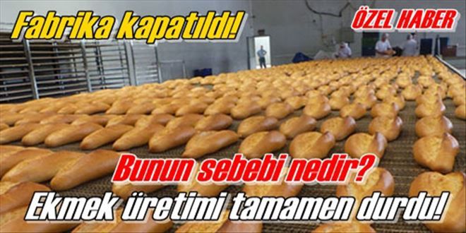 Fırın artık ekmek üretmiyor!