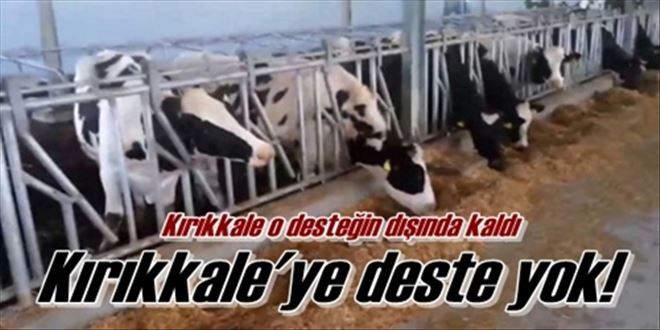 Kırıkkale desteğin dışında kaldı!