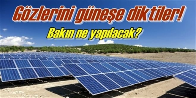 Gözlerini güneşe diktiler!