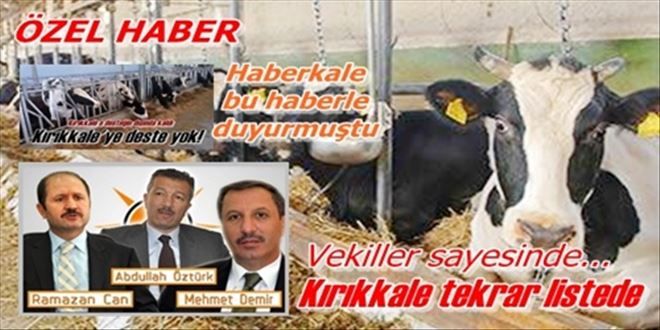 İşte Haberkale etkisi!