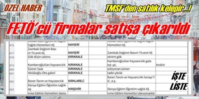TMSF satışa çıkardı!