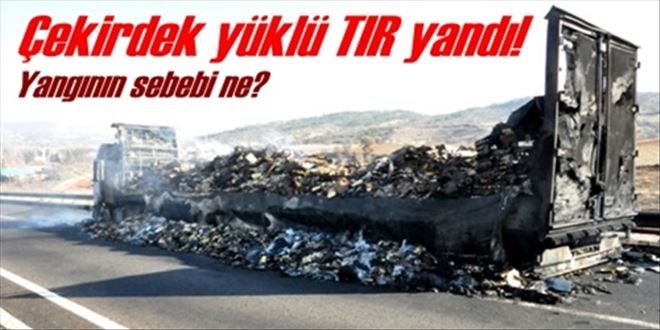 Çekirdek yüklü TIR yandı!