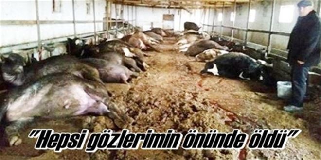 Gözlerimin önünde  bir bir yere düştüler