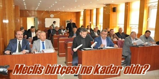 Bütçe 48 Milyon 500 TL