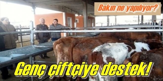 GENÇ ÇİFTÇİLER DESTEKLENİYOR