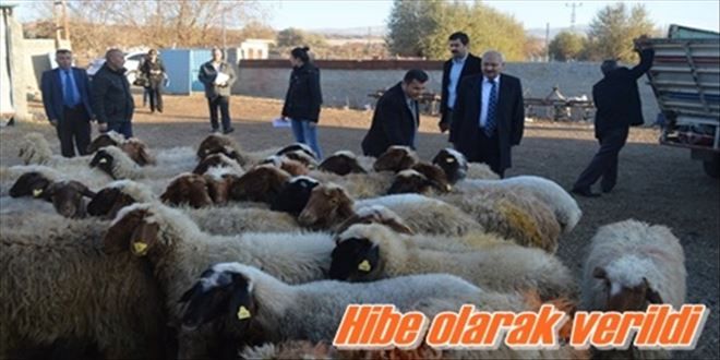 Genç çiftçilere destek