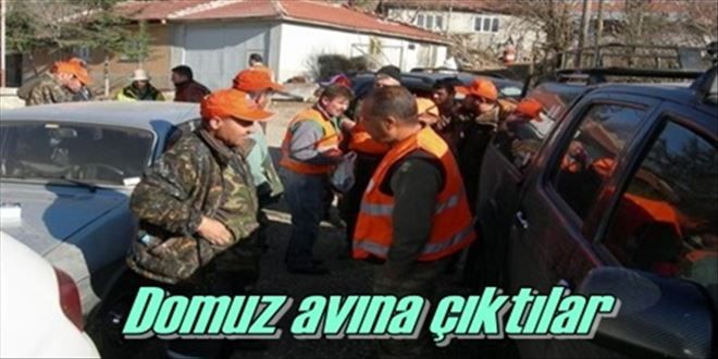 Yaban domuzu avı yaptılar