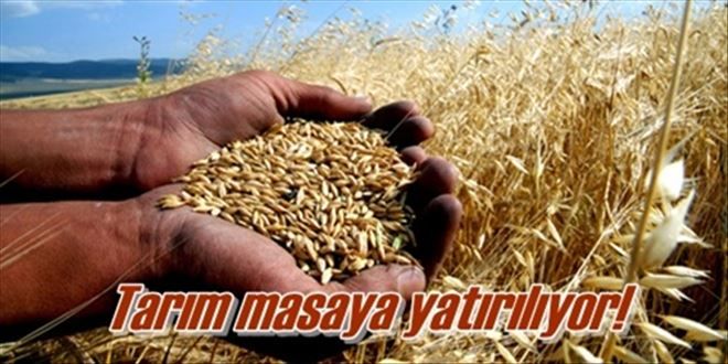 Tarım masaya yatırılıyor