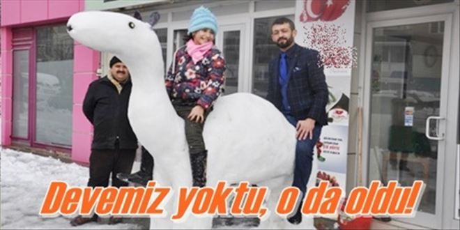 Kardan deve yaptılar!