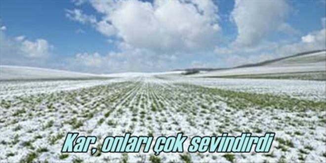 Çiftçinin yüzü güldü