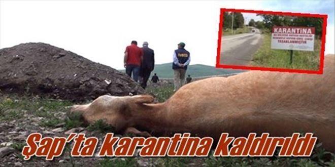 Şap karantinası kaldırıldı!