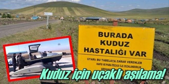 Kuduz için uçaklı ilaçlama!