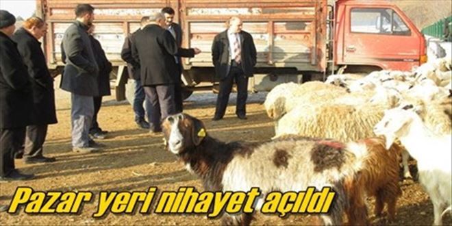 Hayvan pazarı yeniden açıldı