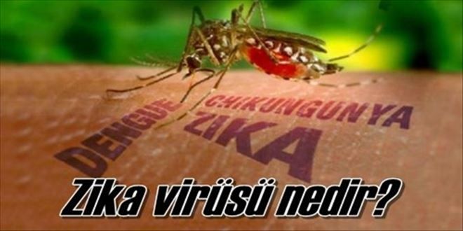 Zika virüsü nedir!