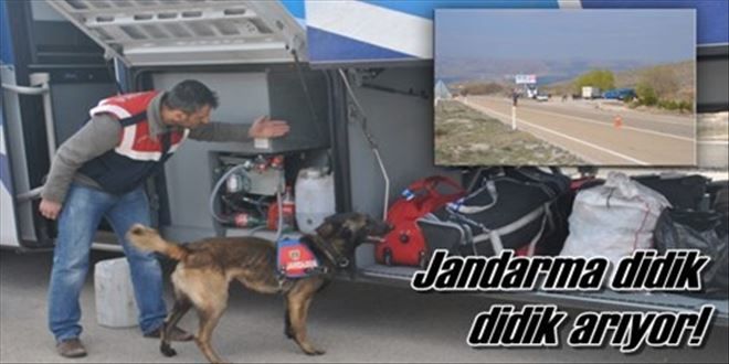 Jandarma didik didik arıyor!