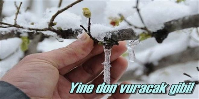 Yine don vuracak gibi!